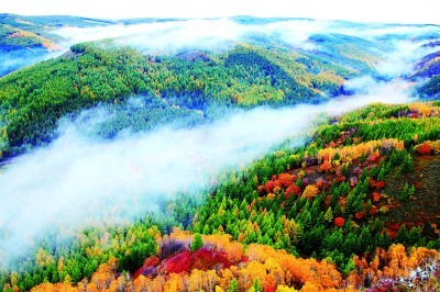 beats365唯一官方网站