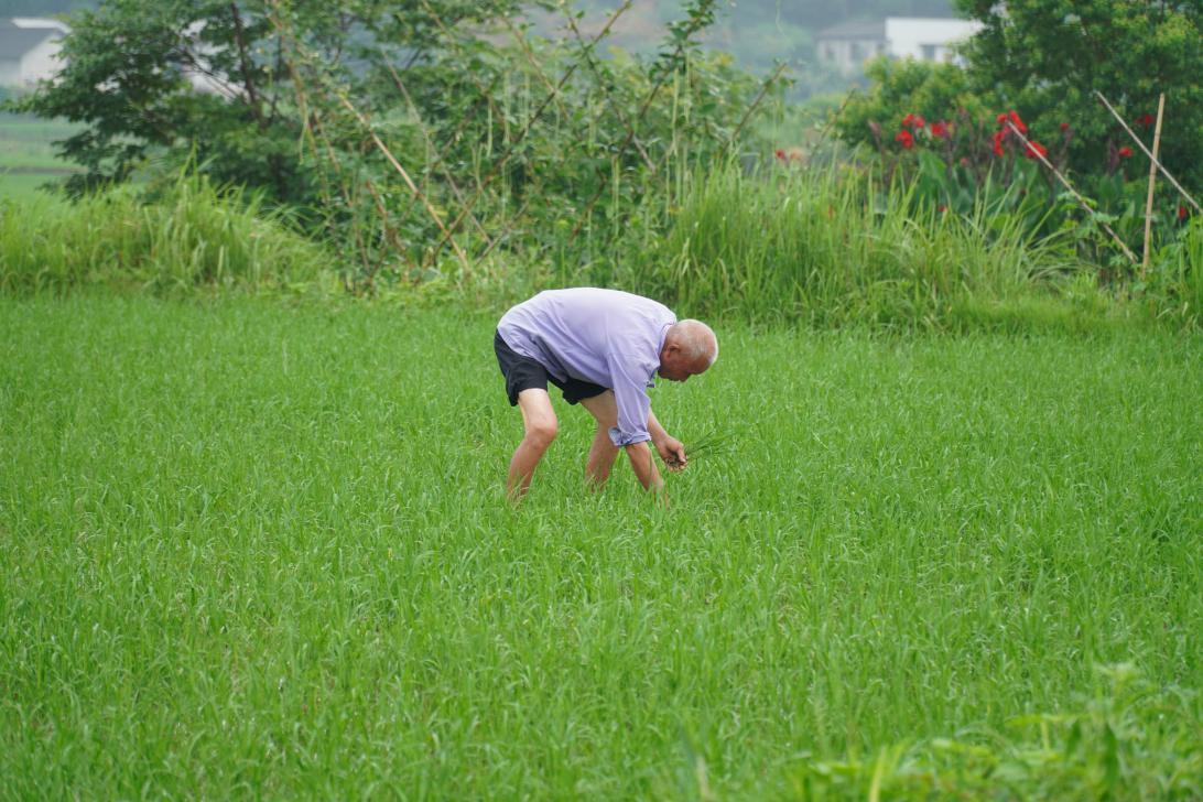 beats365唯一官方网站