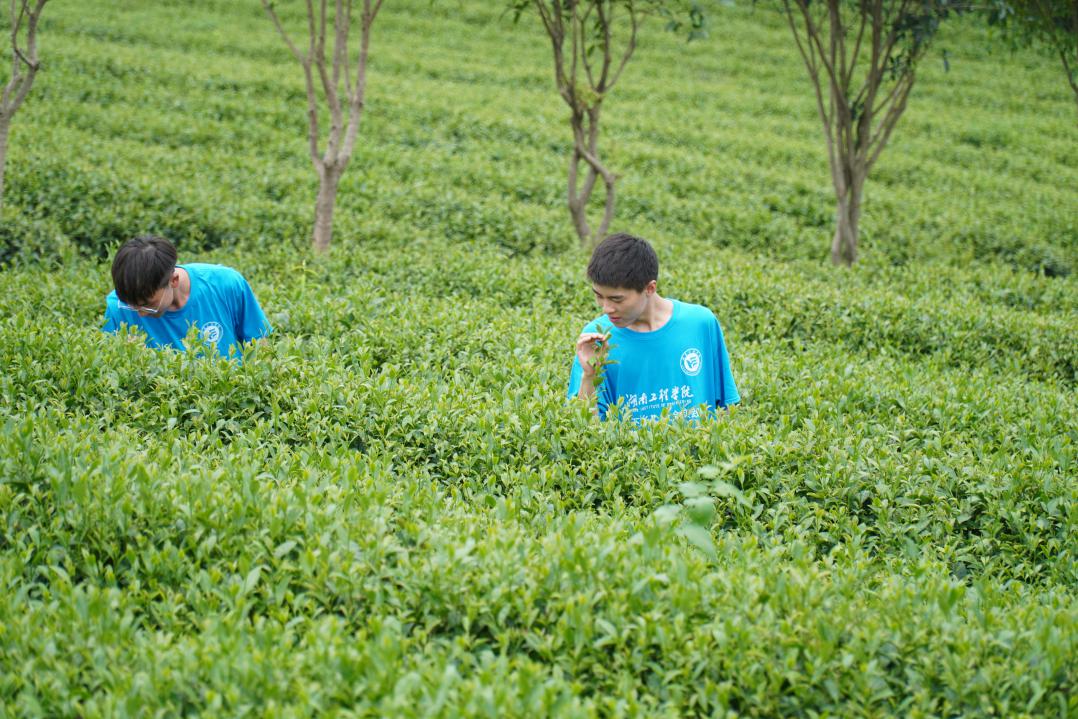 beats365唯一官方网站