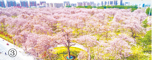 beats365唯一官方网站