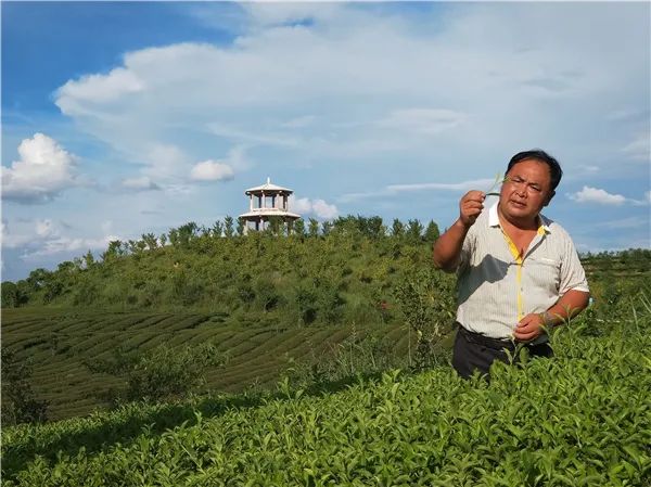 beats365唯一官方网站